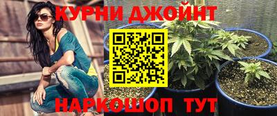 a pvp Можга