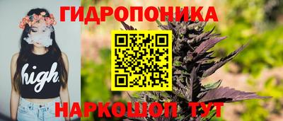 a pvp Можга