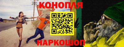 a pvp Можга