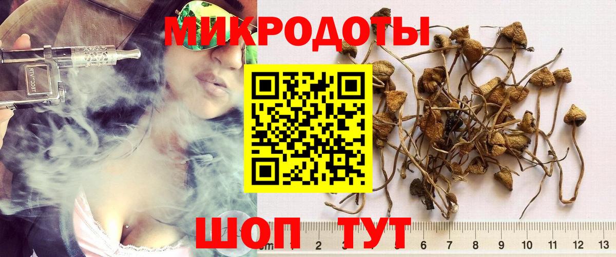 Галлюциногенные грибы ЛСД Верхняя Пышма